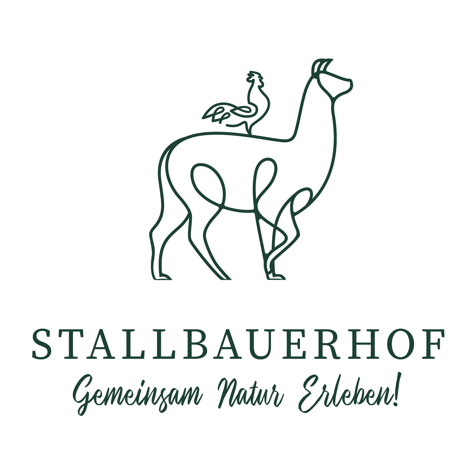 Alpaka mit Huhn auf dem Rücken darunter steht Stallbauerhof geschrieben